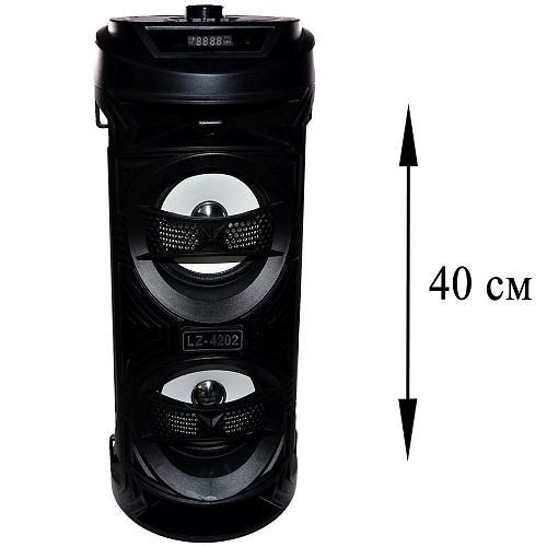Колонка портативная LZ-4202 черный + микрофон