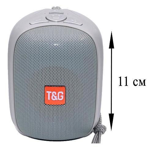 Колонка портативная TG 609 серый