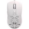 G520 бел-