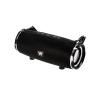Колонка портативная WALKER WSP-160 черный
