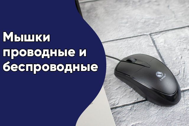 Спеццена на мышки