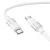 Кабель USB-C - USB-C  3А, PD 60W, 1m  BOROFONE BX106 бел.