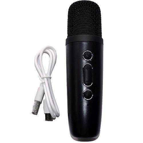 Колонка портативная RK02 + микрофон черный