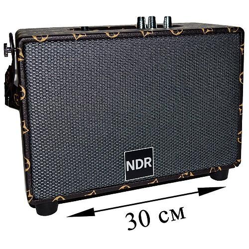 Колонка портативная NDR-16A Вид1 (микрофон в комплекте)