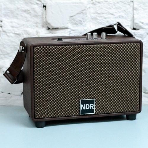 Колонка портативная NDR-16B коричневый (микрофон в комплекте)
