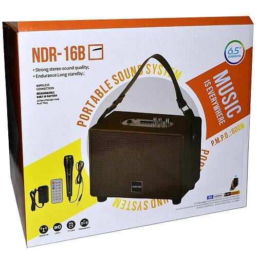 Колонка портативная NDR-16A Вид1 (микрофон в комплекте)